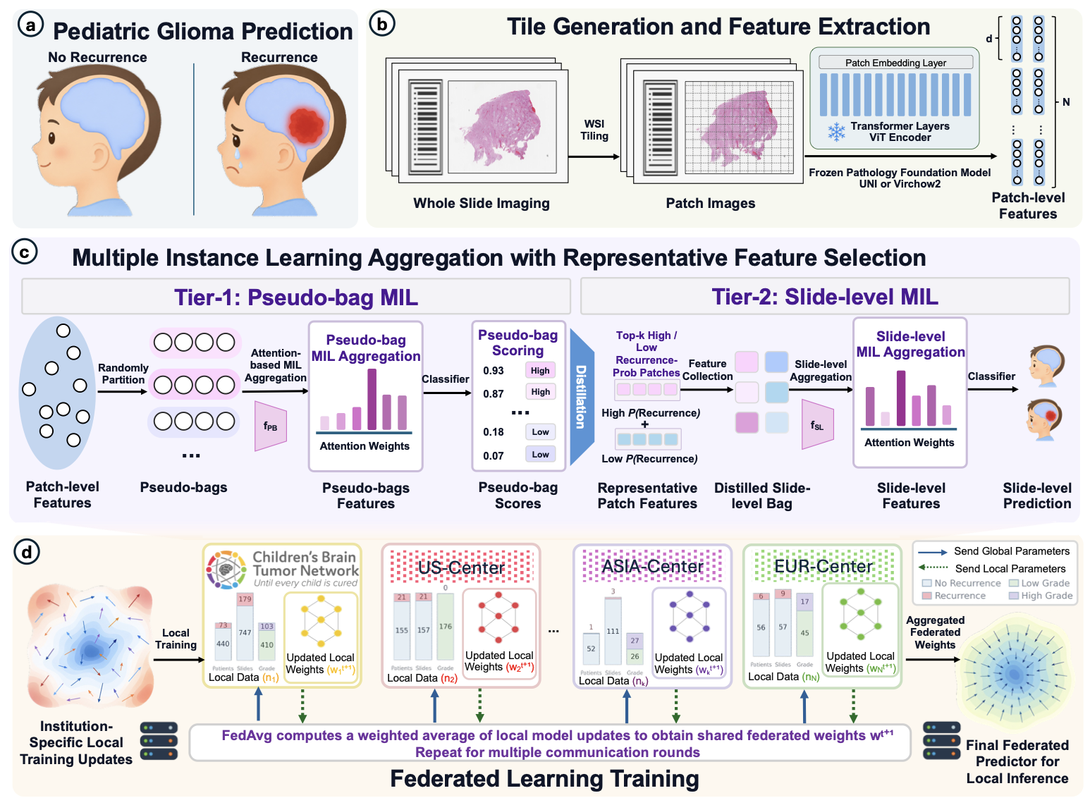 Overview of FABRIC for multi-institutional pediatric glioma recurrence prediction